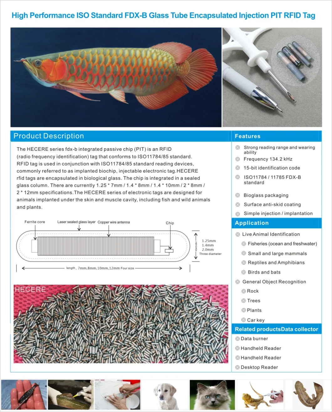 China Leading Manufacturer Injectable Microchip for Animal ID with Syringe